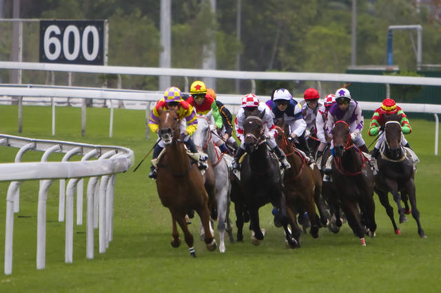 2025今晚香港開特馬開什么,關于香港賽馬會特馬賽事的預測與探討——以今晚香港特馬賽事為例