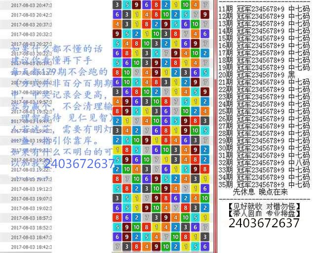 澳門王中王100%期期中一期,澳門王中王，揭秘期期中一期的秘密