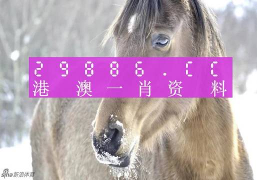 澳門一肖一碼100%精準(zhǔn),澳門一肖一碼，揭秘精準(zhǔn)預(yù)測的神秘面紗