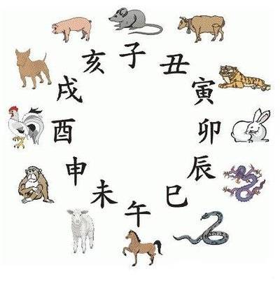 新澳精準(zhǔn)資料免費(fèi)提供生肖版,新澳精準(zhǔn)資料免費(fèi)提供生肖版，探索與解讀