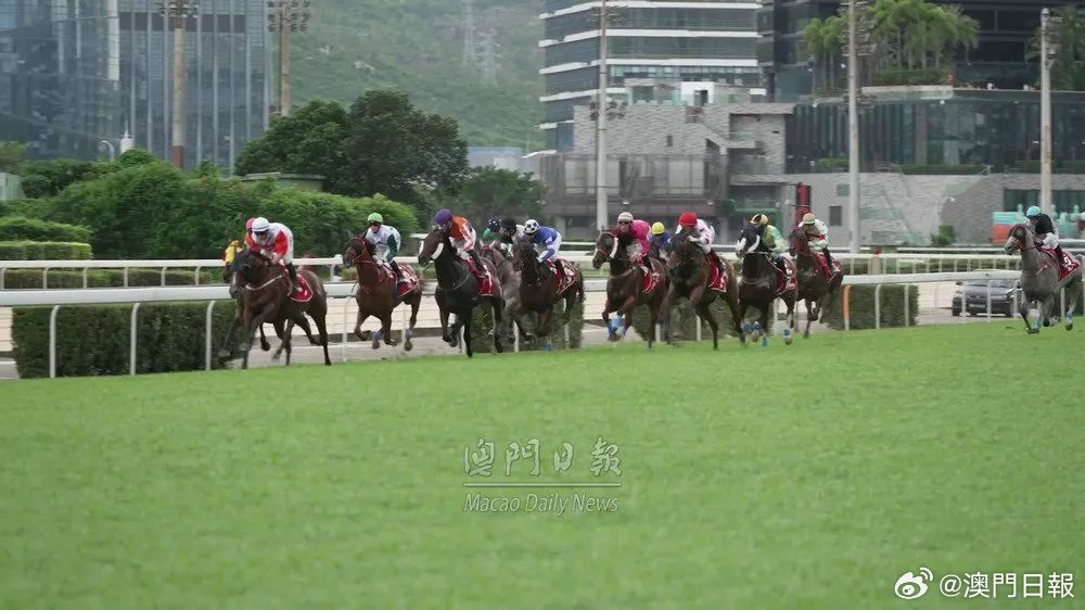 今晚澳門馬出什么特馬,今晚澳門馬會出什么樣的特馬？探索賽馬世界的神秘與魅力