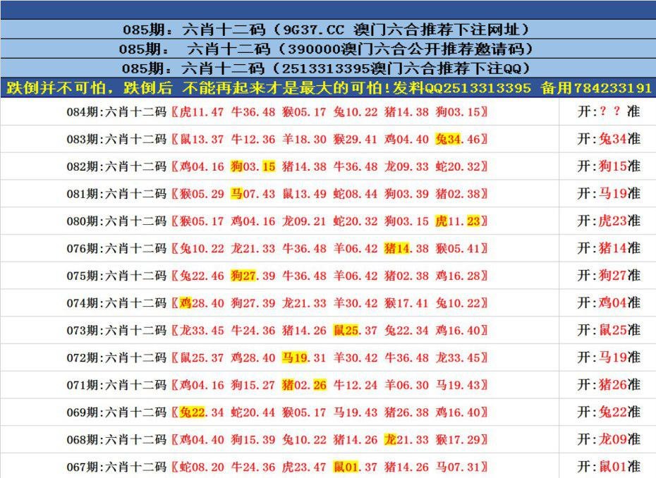 門澳六免費資料,門澳六免費資料的重要性及其影響