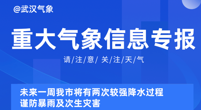 2025新奧精準正版資料,探索未來，2025新奧精準正版資料的深度解析