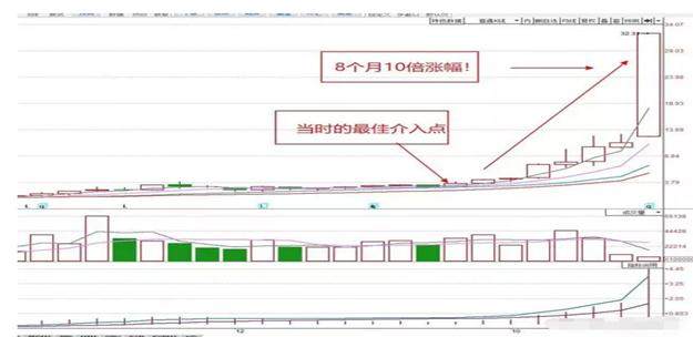 一碼一肖100準你好,一碼一肖，揭秘精準預測背后的秘密