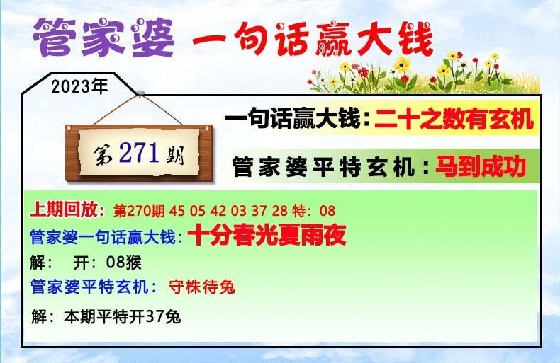 澳門一肖一碼100管家婆9995,澳門一肖一碼與管家婆9995，探索與解析