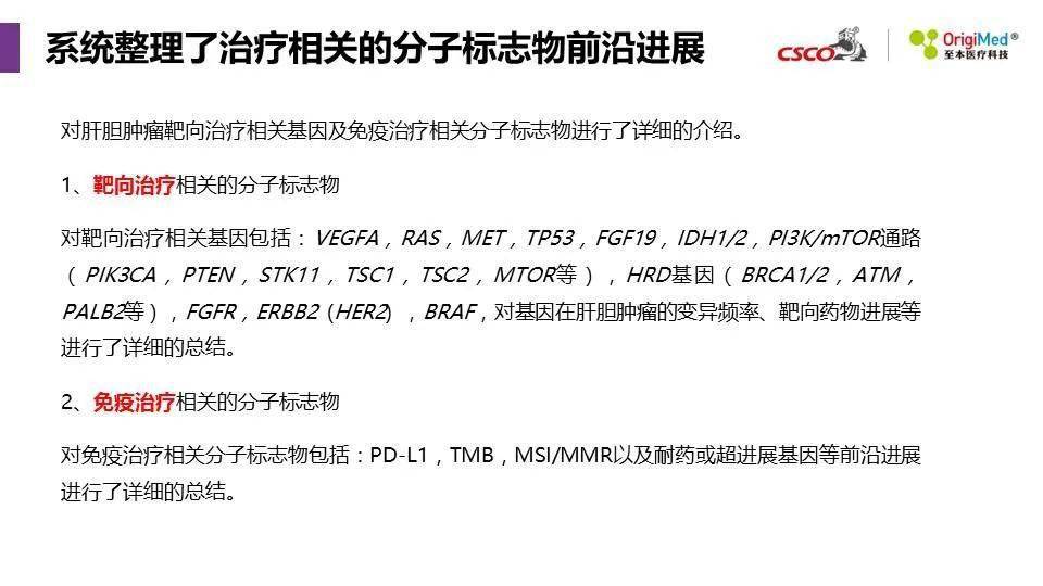 2025年新澳精準資料免費提供網站,探索未來，2025年新澳精準資料免費提供的網站