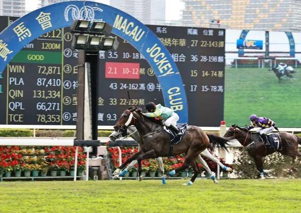 2025澳門特馬今晚開獎歷史,澳門特馬今晚開獎歷史，探尋歷史脈絡與未來展望