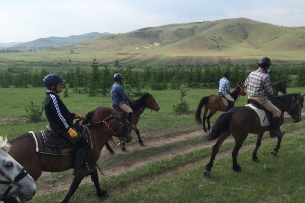 澳門今晚開特馬四不像圖,澳門今晚開特馬四不像圖——探索與解析