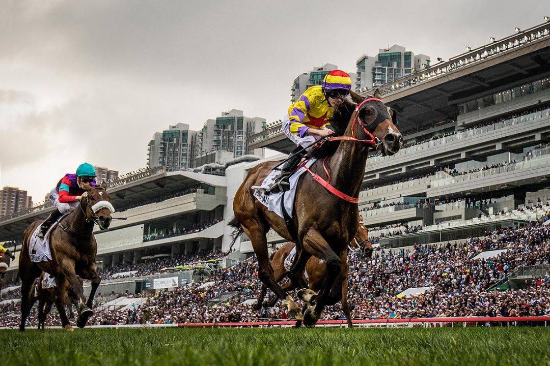 香港馬買馬網站www,香港馬買馬網站——探索賽馬文化的獨特魅力