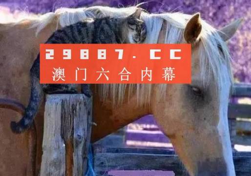 奧門全年資料免費大全一,澳門全年資料免費大全一，深度解讀與探索