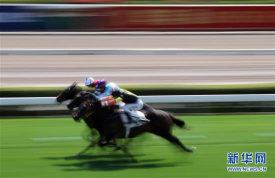 香港最準馬會資料免費,香港最準馬會資料免費，探索賽馬運動的魅力與公開資料的重要性