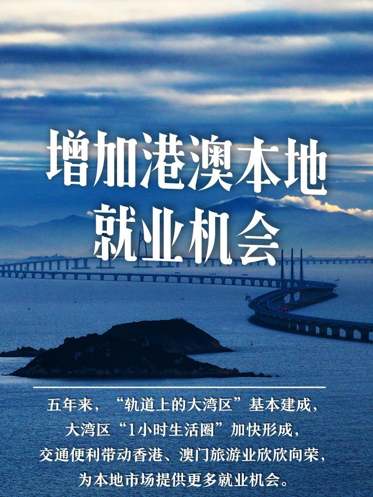 新澳門精準(zhǔn)的資料大全,新澳門精準(zhǔn)的資料大全，探索與解讀