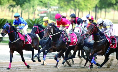 2025今晚香港開特馬,香港賽馬盛宴，今晚特馬盛宴的期待與激情